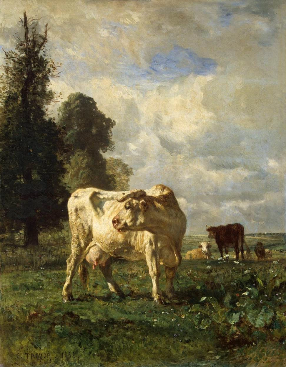 Mucche nel campo - Hermitage, San Pietroburgo